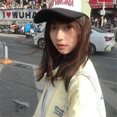 暴风雪中的白鸟